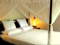 Latugu Homestay Ubud 