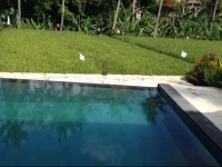 Rendira Villa 