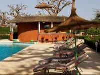 Baobab Soleil 