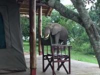 Queen Elizabeth Bush Lodge 