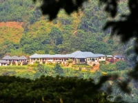Silverback Lodge 
