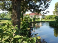 Mucha Hotel 
