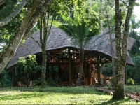 Kibale Forest Camp 