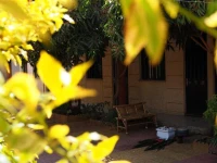 Manuhie Backpackers Lodge 