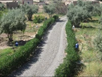 Tigmmi Bahmou 
