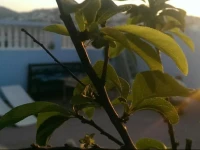 Hostel Al Hoceima 