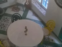 Riad Gnaoua 