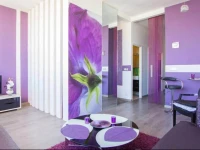 Studio Purple 
