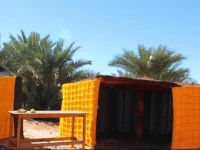 Oasis Luxury Camp 