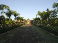 Palais Riad Berbere 
