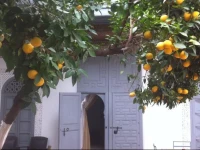 Riad Dar Dounia 