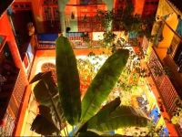 Riad Dia 