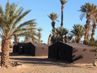 Bivouac Desert Sahara 