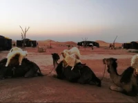 La Kahena Desert Camps & Lodges 