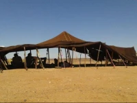 Desert Camel Camp 
