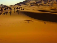 Bivouac Etoile De Merzouga 