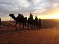 Bivouac Le Petit Prince Merzouga 