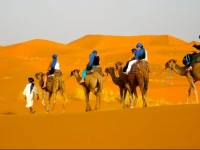 Camel Safari Camp 