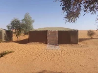 Camel Trekking Company 