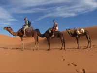 Camp Camelhouse Merzouga 
