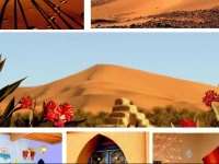 La VallГ©e des Dunes 