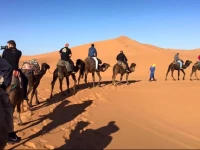 Merzouga Camel Tour Camp 