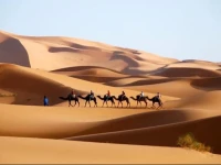 Merzouga Riad Bivouac Excursion 