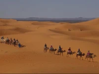 Morocco Adventures 
