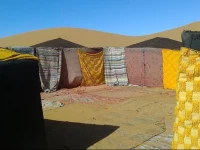 Sahara Experience 