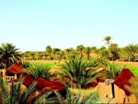Auberge la Palmeraie 