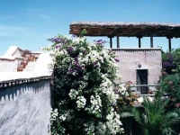 Tigmi 