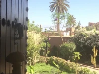 Riad Shaula 