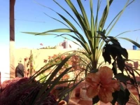 Amayour Surf Hostel 