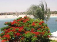 Villa Marina Egypt