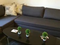 Spacious centrally located family apartment Haifa 