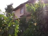 Villa Sarah Studios 