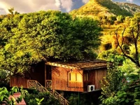 The Tree House Resort 