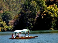 Munnar Dreams 2*