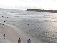 Lotus Beach Resort 