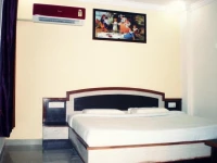 Hotel Vidya Residency 3*