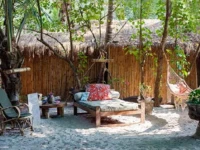 Little Palm Grove 