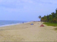 Marari Nest Beach Homestay