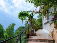 Mist Inn Resort 3*