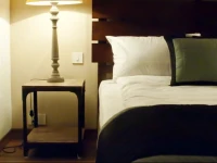 Secludecity - Safdarjung Enclave 3*
