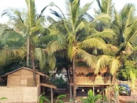 Om Gravity Eco Resort 