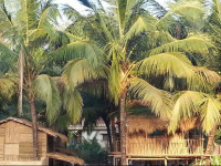 Om Gravity Eco Resort