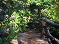 Tree Top Eco-Lodge