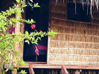 Kampot Cabana