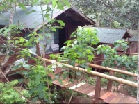 Happy Elephant Bungalows 3*