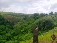 Nin Homestay 